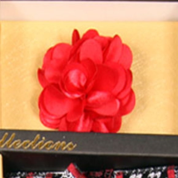6 Piece Black Silver Red Necktie & Bow Tie Set